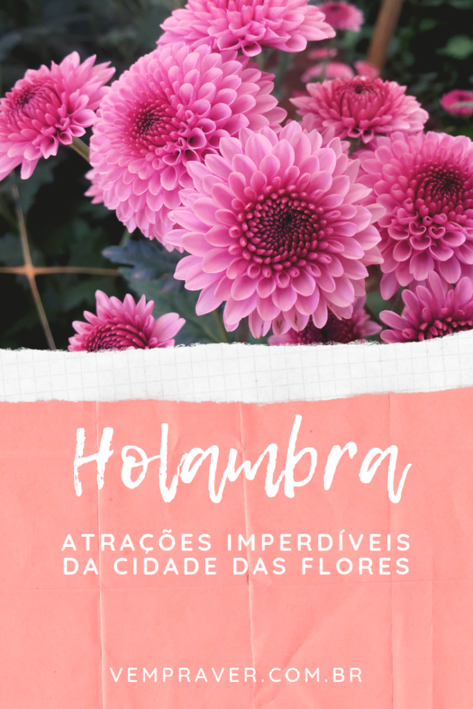 Holambra: atrações imperdíveis da cidade das flores