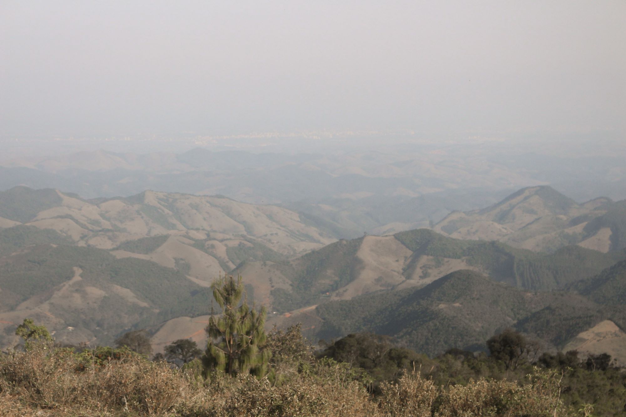 Pico do Selado - Trilha em Monte Verde - MG