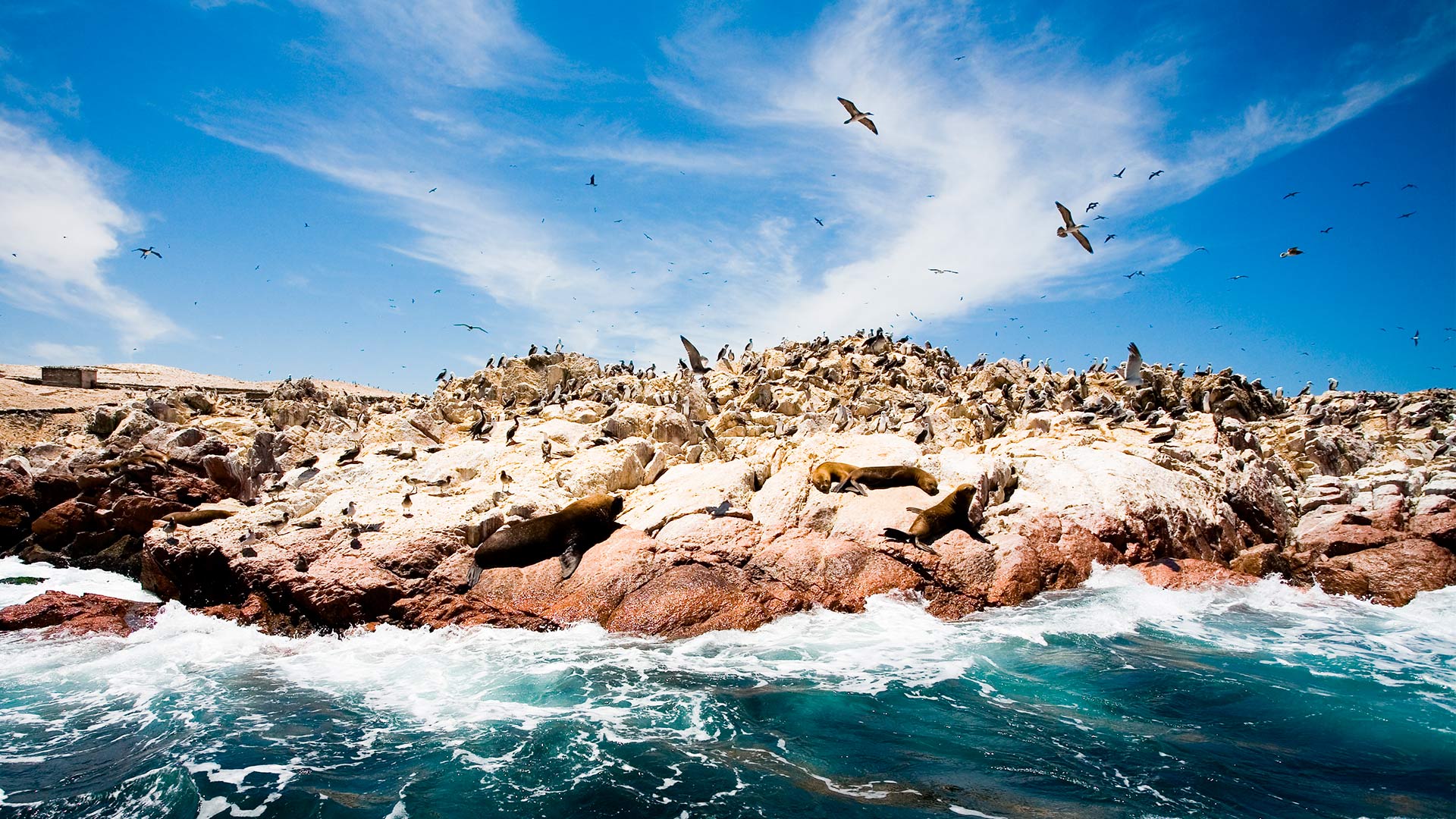 O que fazer no Peru: conheça as Ilhas Ballestas, em Paracas.