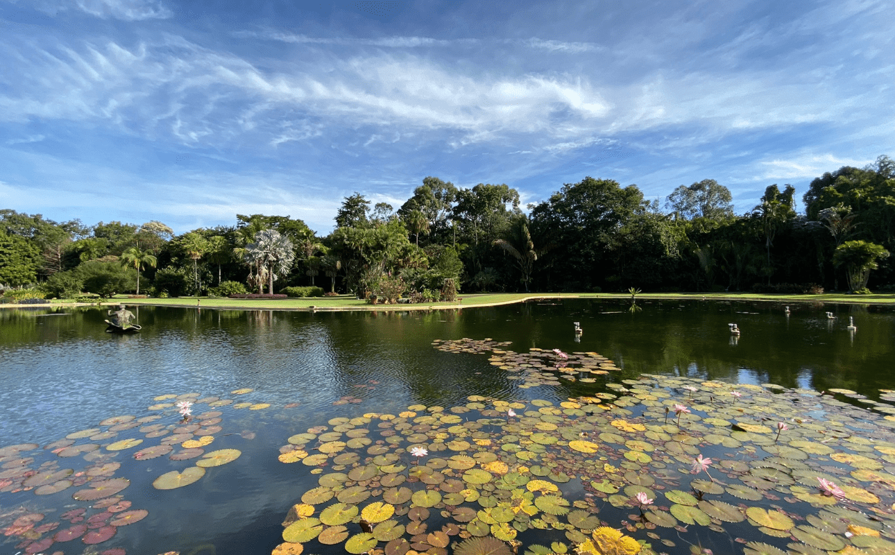 Jardim Botânico Plantarum em Nova Odessa - Lago Principal